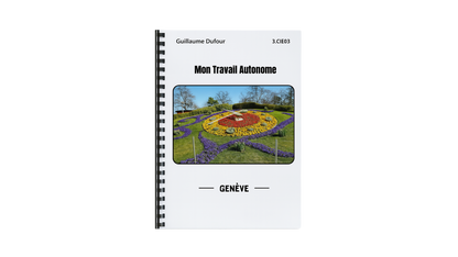 Travail Autonome